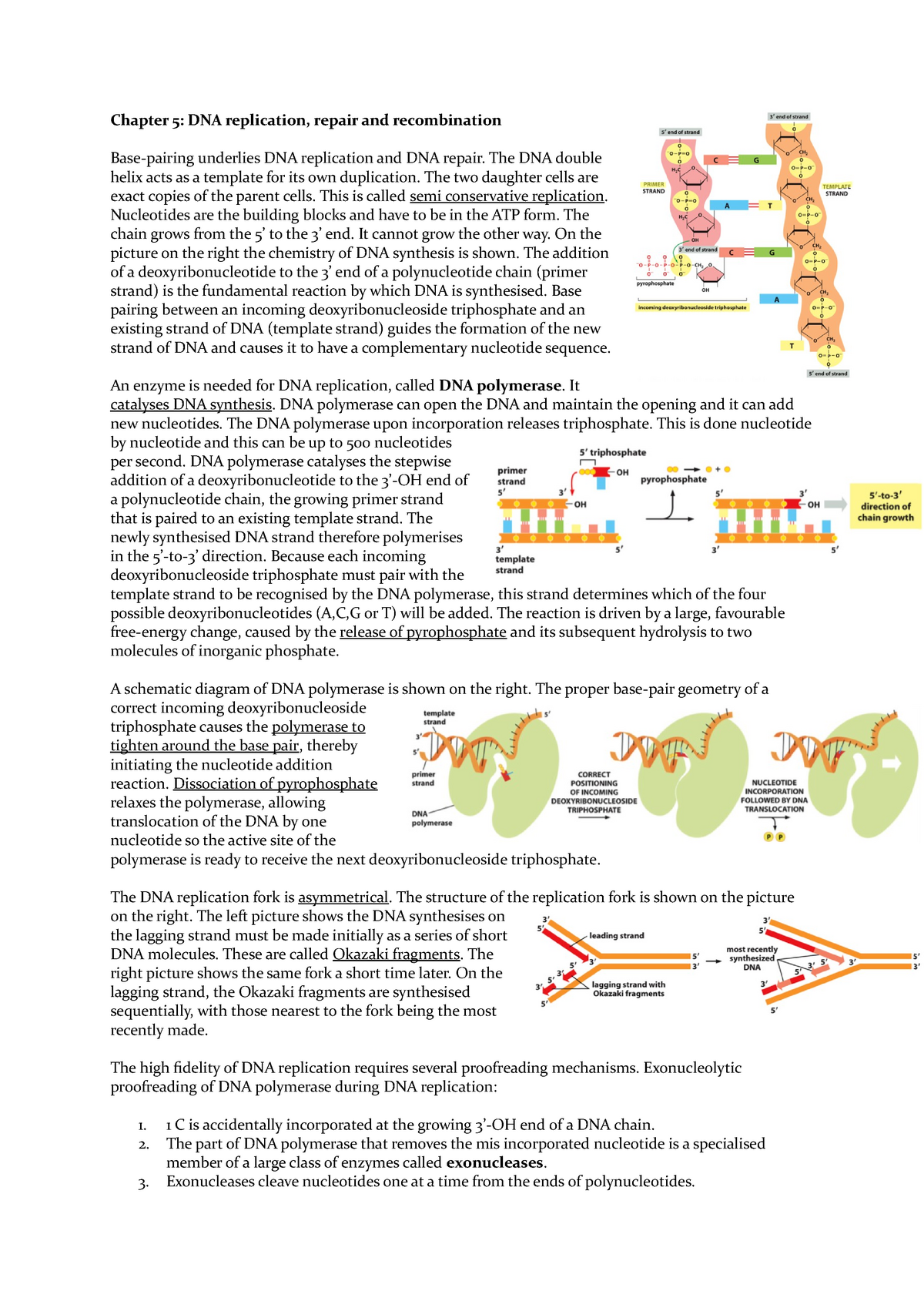 Genetics chapter 5 part 2(1)