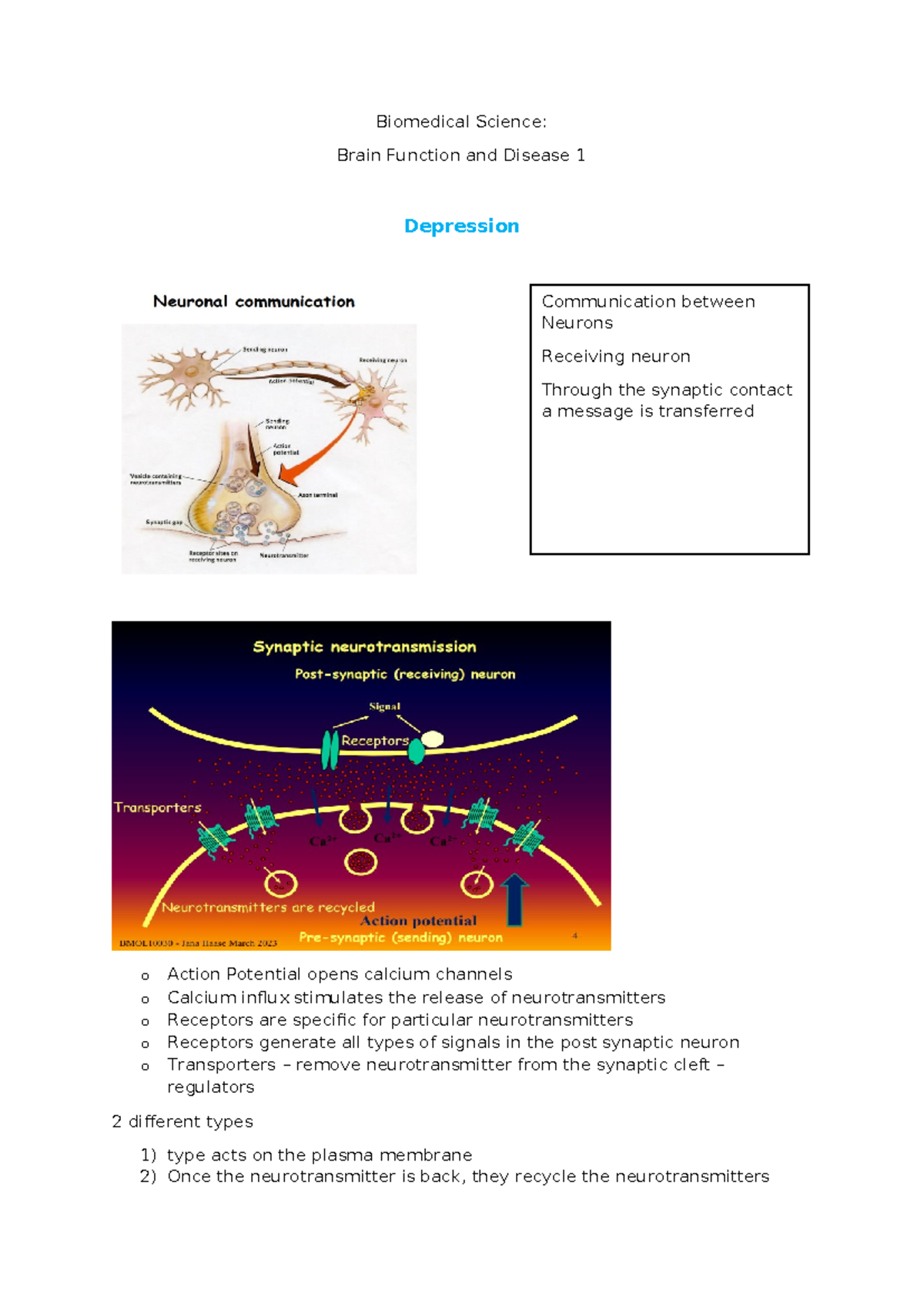 Biomed Notes - Depression - Biomedical Science: Brain Function and ...