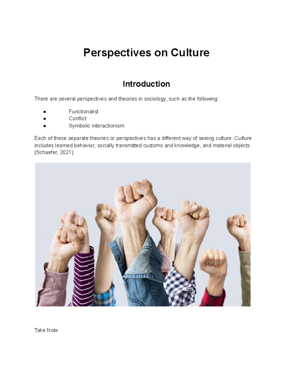 Perspectives On Culture - Perspectives On Culture Introduction There ...