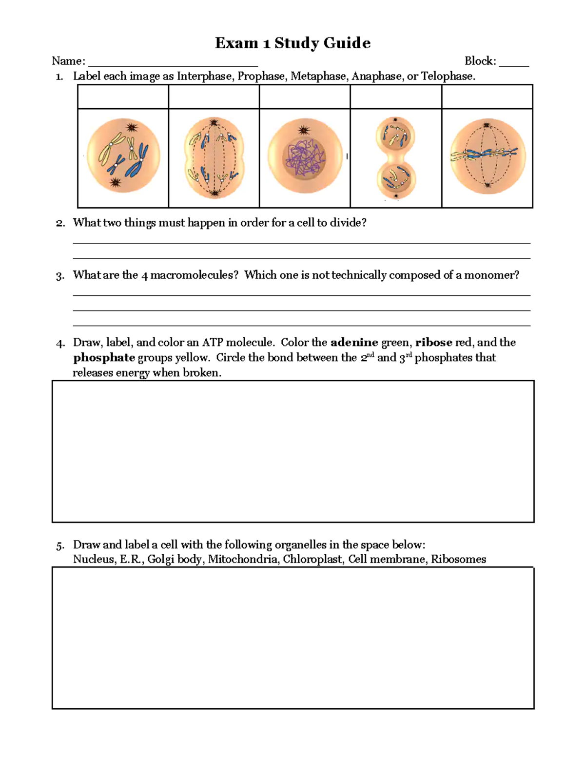 Copy of Exam 1 Study Guide - Deprecated API usage: The SVG back-end is ...