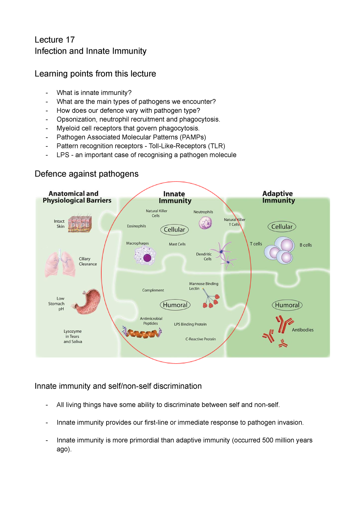 Lecture 17 - Infection And Innate Immunity - Lecture 17 Infection And ...