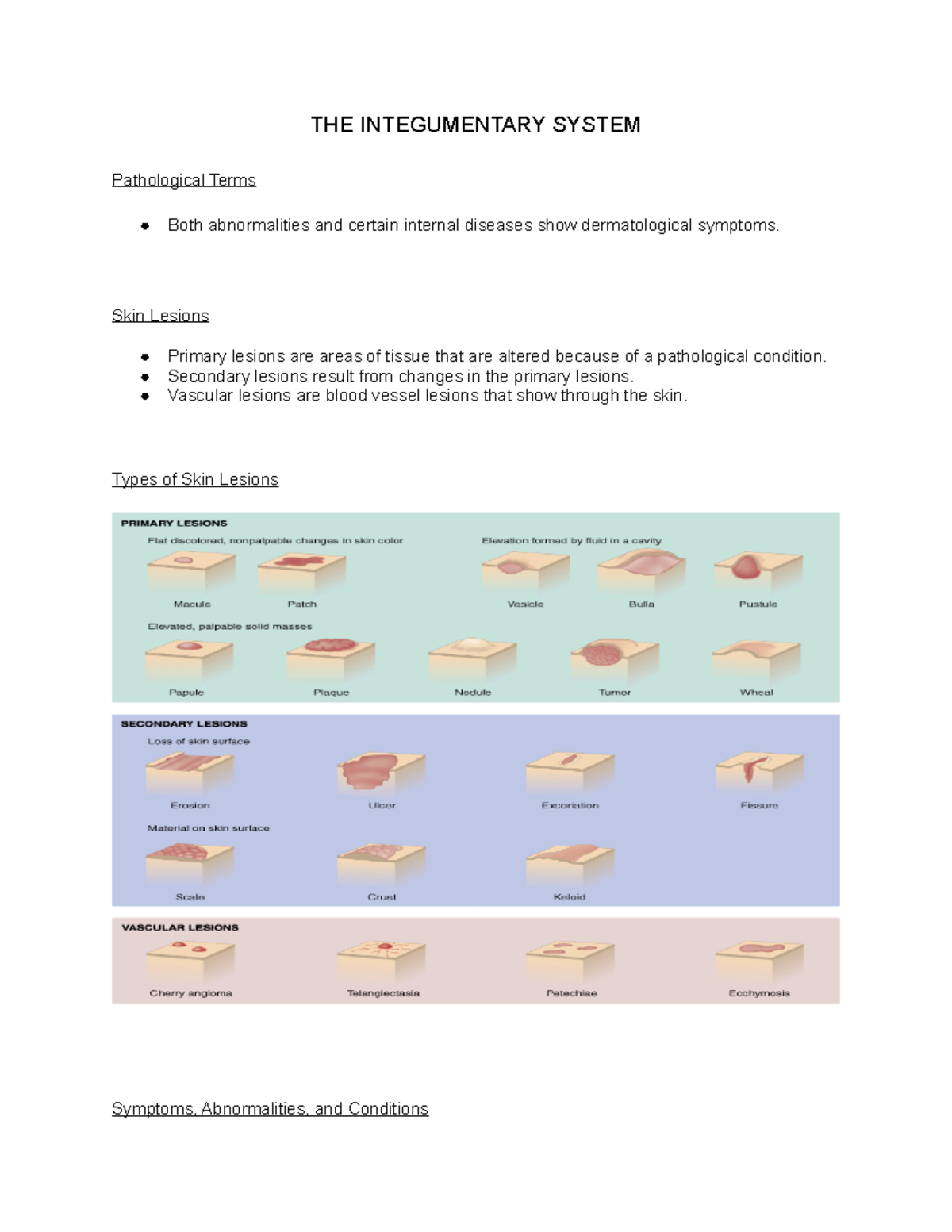 Medical Terminology II Notes 6 - THE INTEGUMENTARY SYSTEM Pathological ...