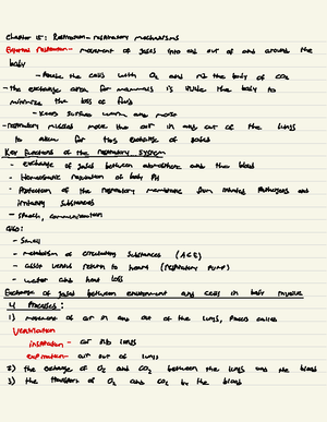 Human Physiology Exam #2 (Study Guide) - CH 7 Neurons The nervous ...
