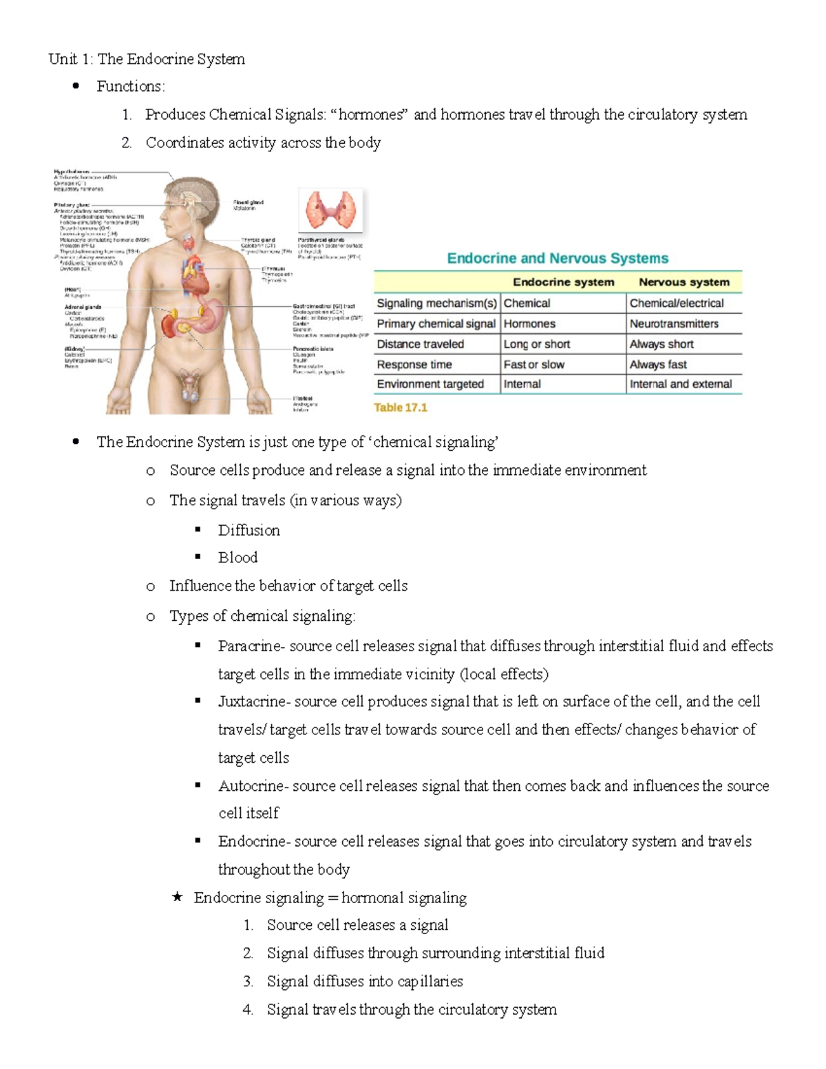 BIO 202- Endocrine System - Unit 1: The Endocrine System Functions: 1 ...