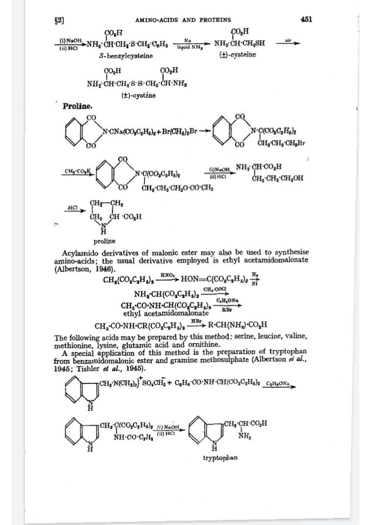 Amino Acid And Protein 3 - BSc Chemistry - Studocu