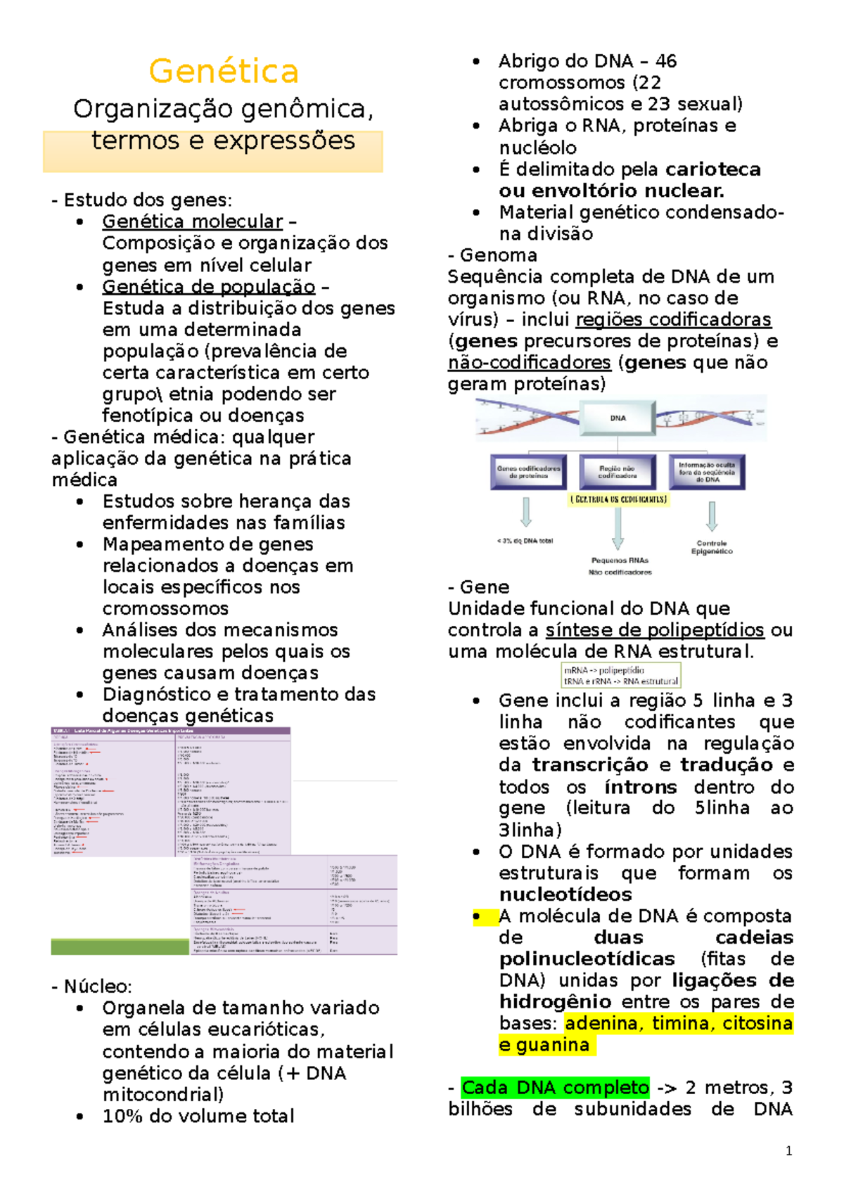 Genética- organização genomica - Genética Organização genômica, termos ...