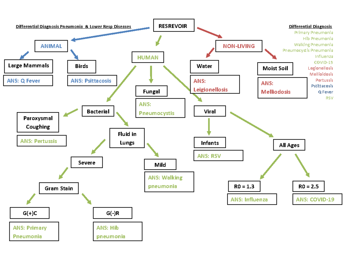 Chapter 24 Resp Differential Diagnosis Differential Diagnosis