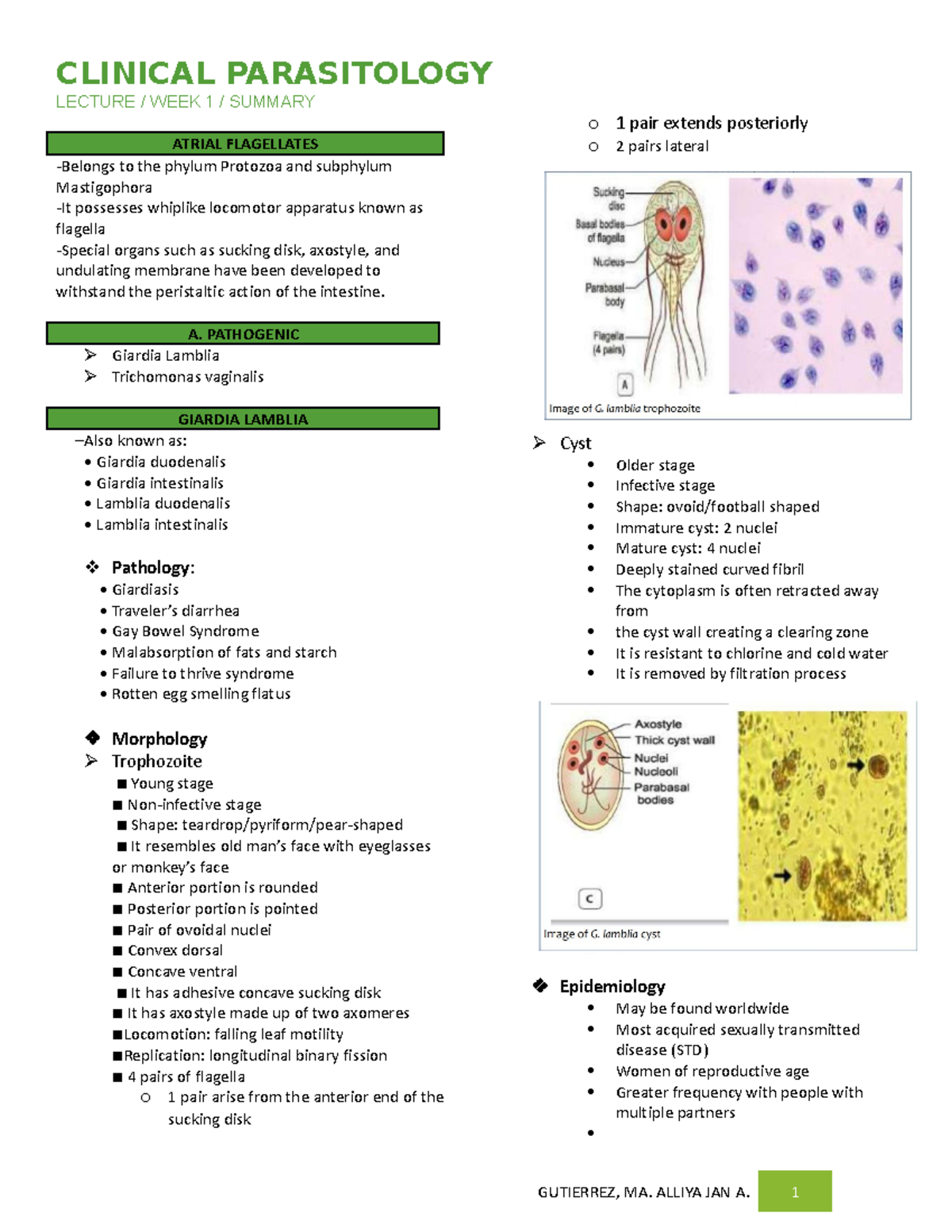 Atrial- Flagellates - lol - CLINICAL PARASITOLOGY LECTURE / WEEK 1 ...