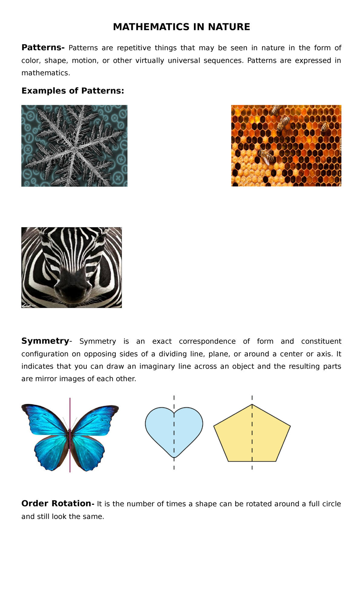 Mathematics IN Natur 1 - MATHEMATICS IN NATURE Patterns- Patterns are ...