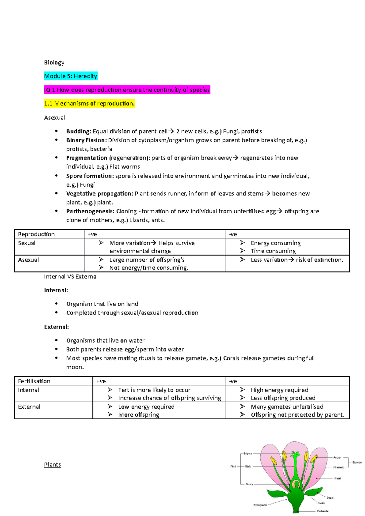 Litto Biology Notes - hsc bio - Biology Module 5: Heredity IQ 1 How ...