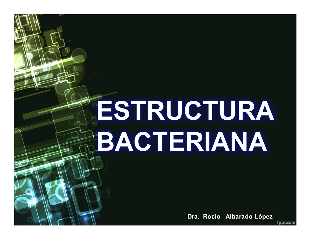 Estructura Bacteriana - ESTRUCTURA BACTERIANA Dra. Rocio Albarado López ...