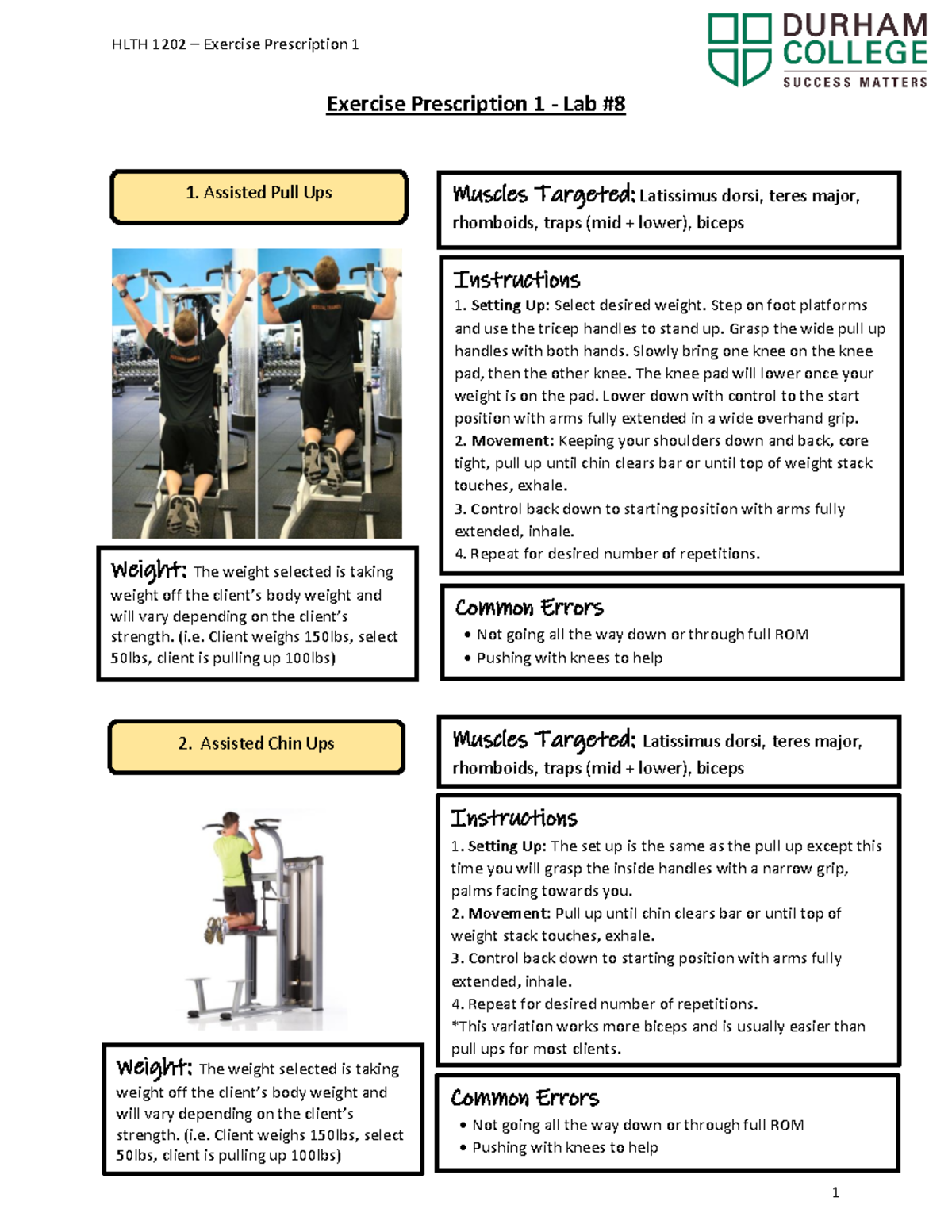 HLTH 1202 - Lab 8 Handout F22 - Exercise Prescription 1 - Lab Muscles ...