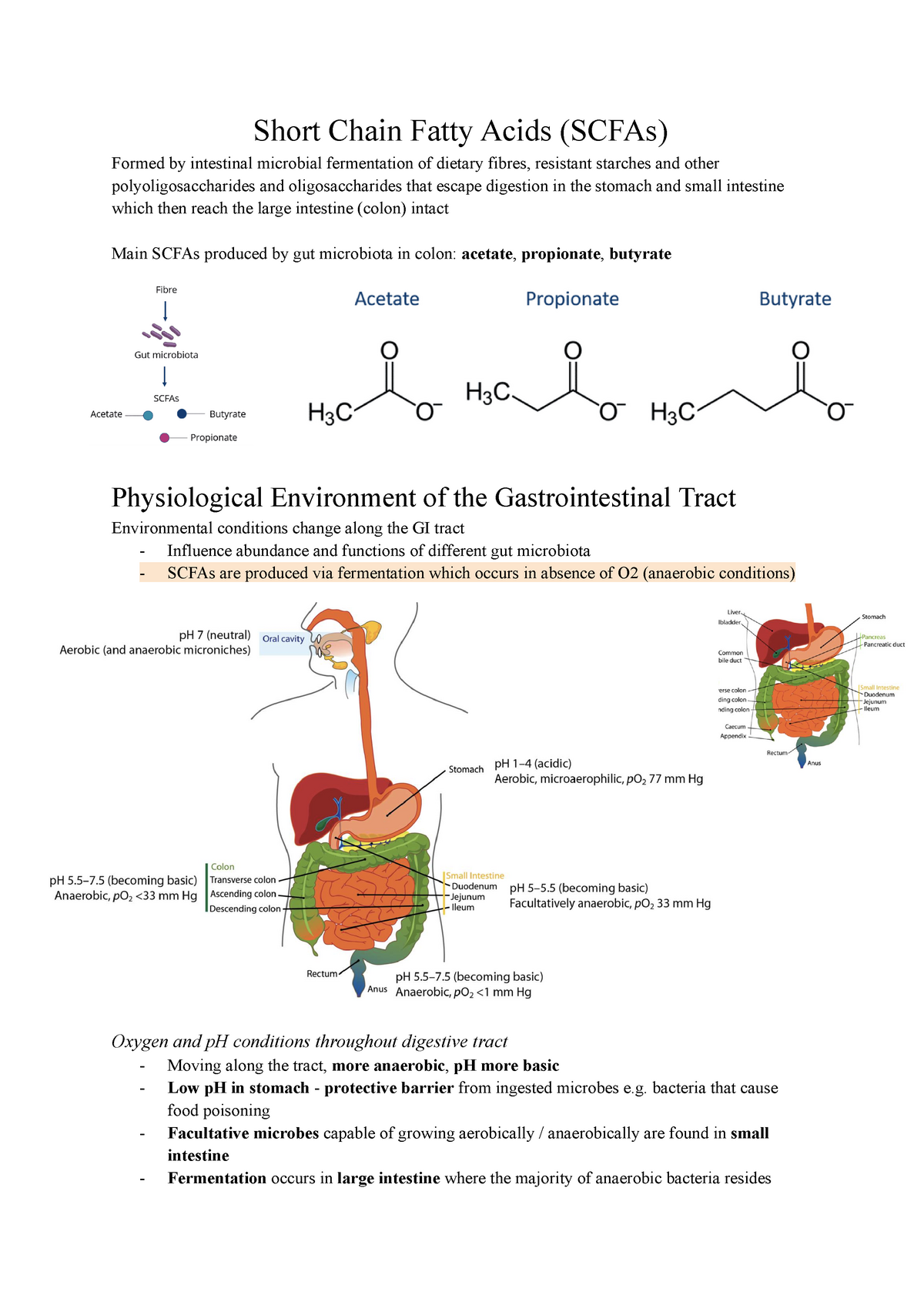 MHD 5 Short Chain Fatty Acids In Human Health And Disease Short   Thumb 1200 1695 