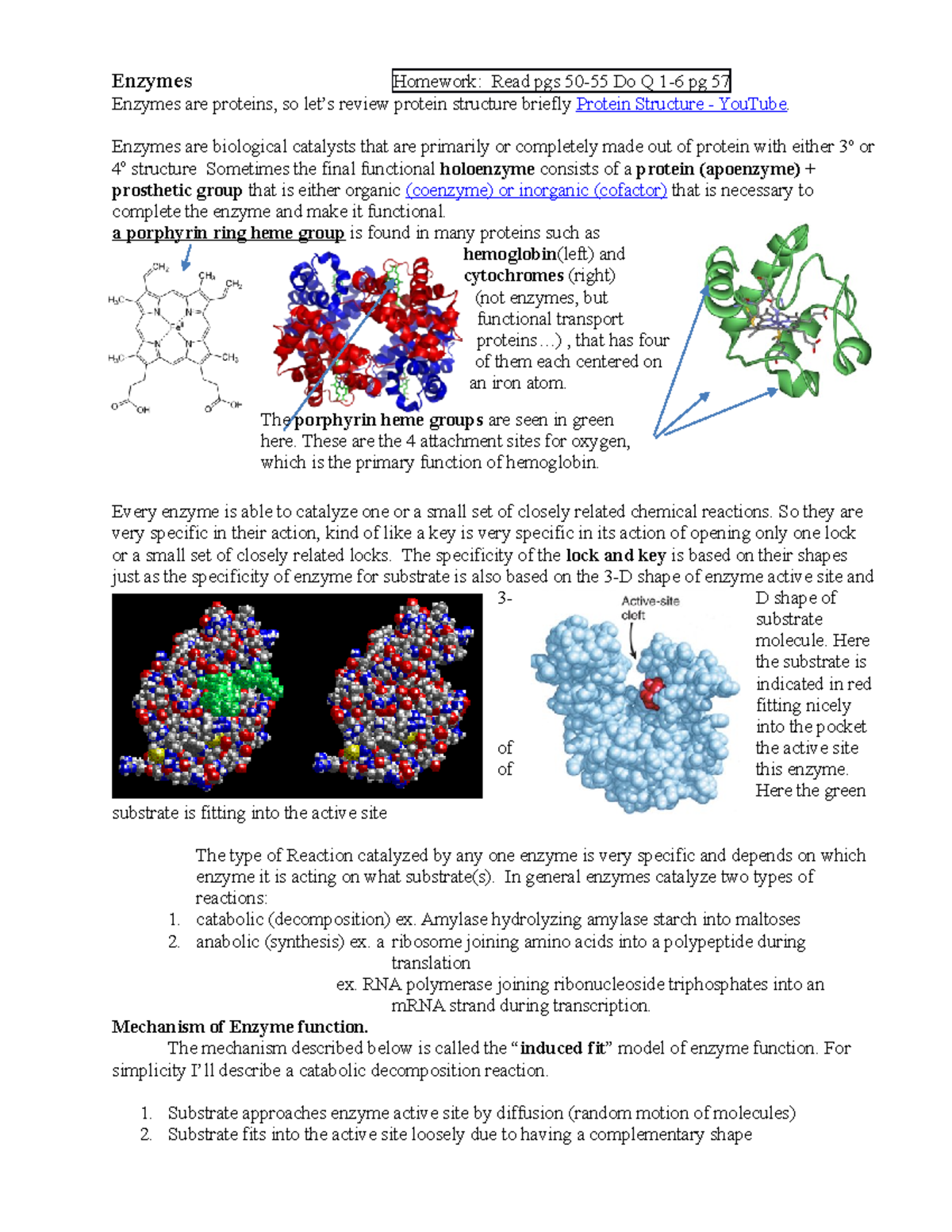 4U Bio Enzymes Mode of Action - Enzymes Homework: Read pgs 50-55 Do Q 1 ...