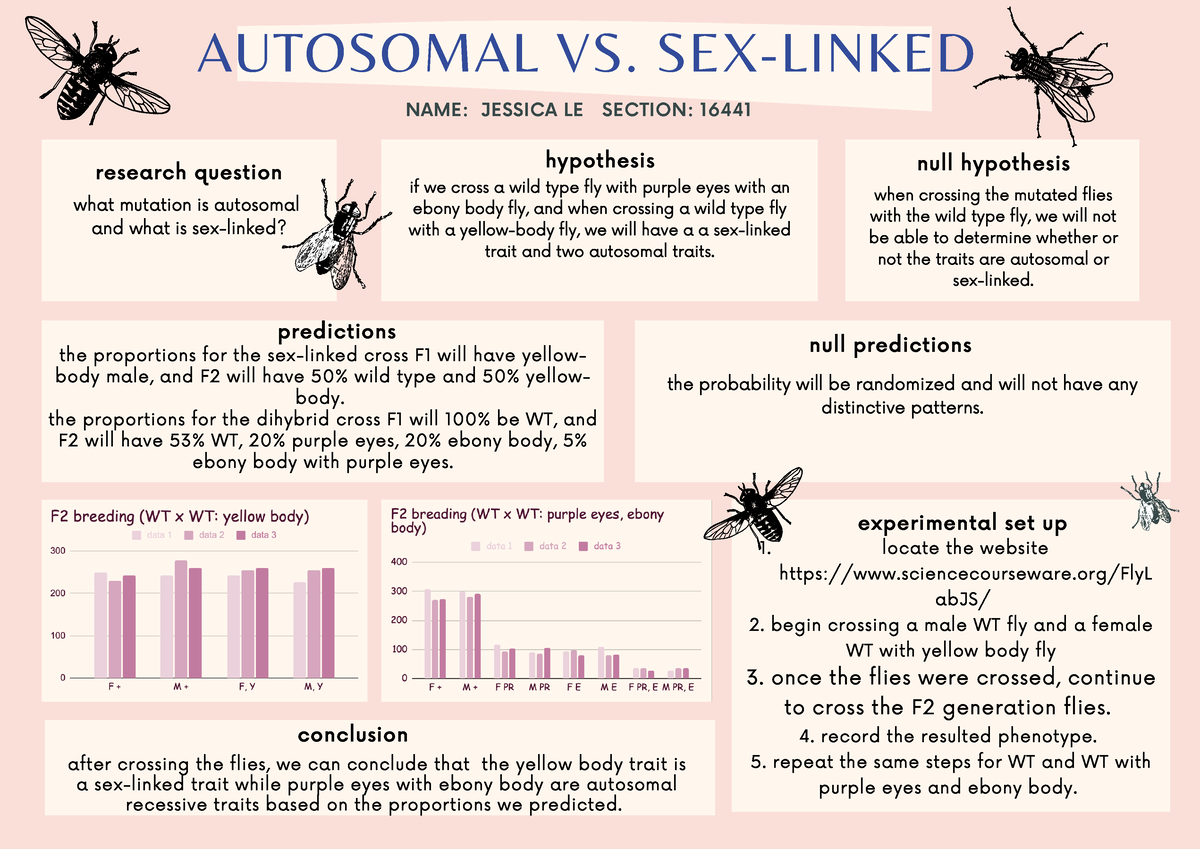 Fly Crossing Autosomal Vs Sex Linked Research Question Name Jessica Le Section 16441