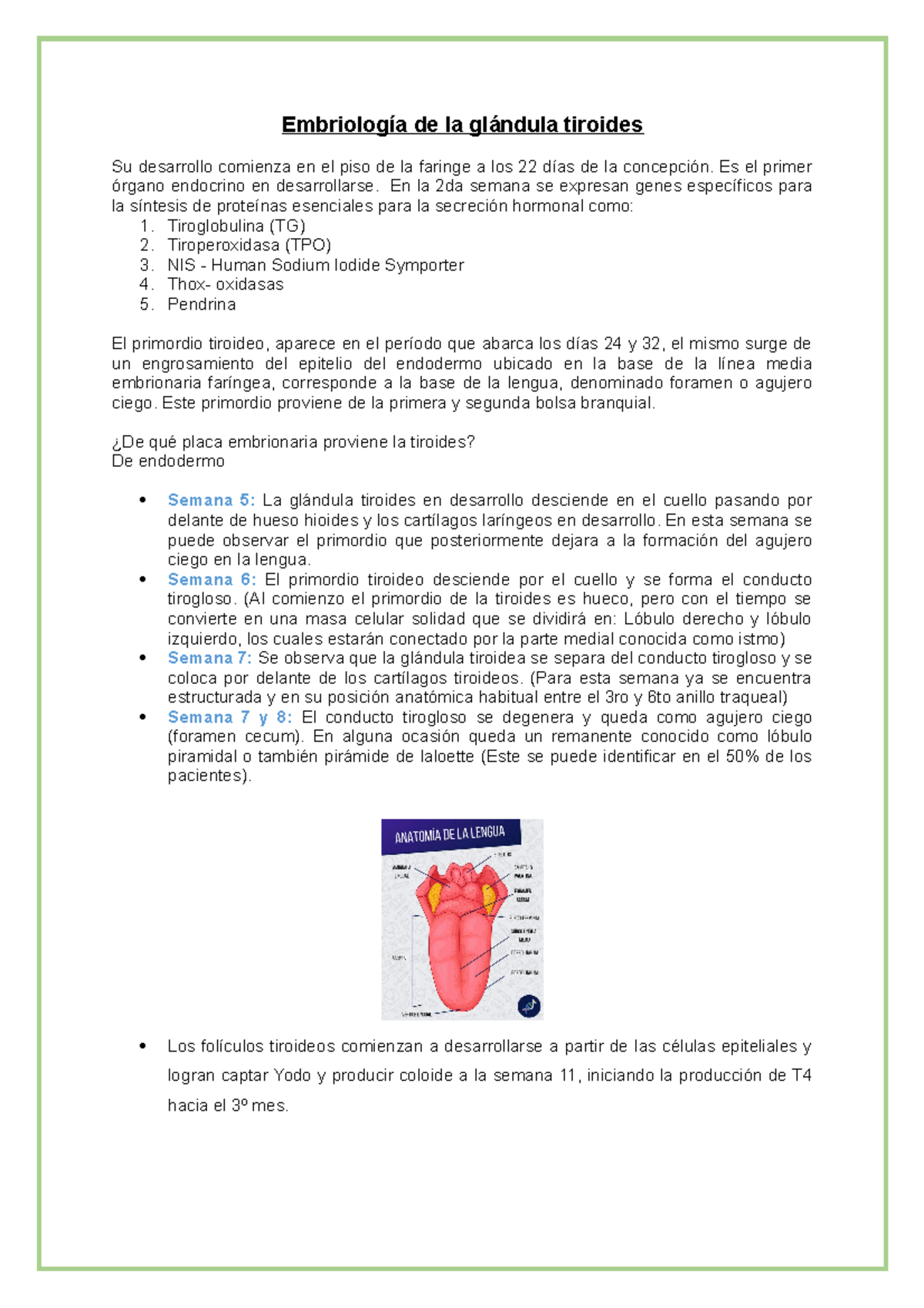 embriología del foramen ciego