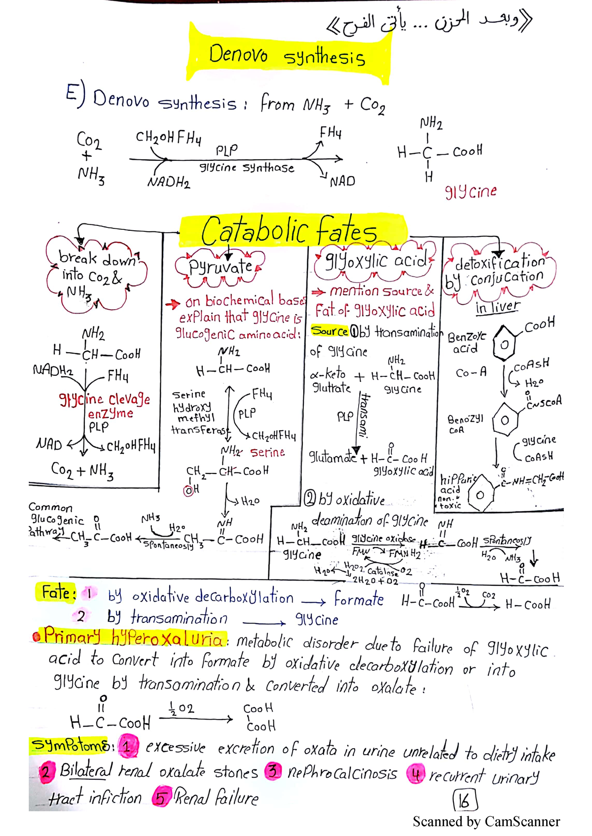 Easy Biochemistry - Scanned By CamScanner Scanned By CamScanner - Studocu