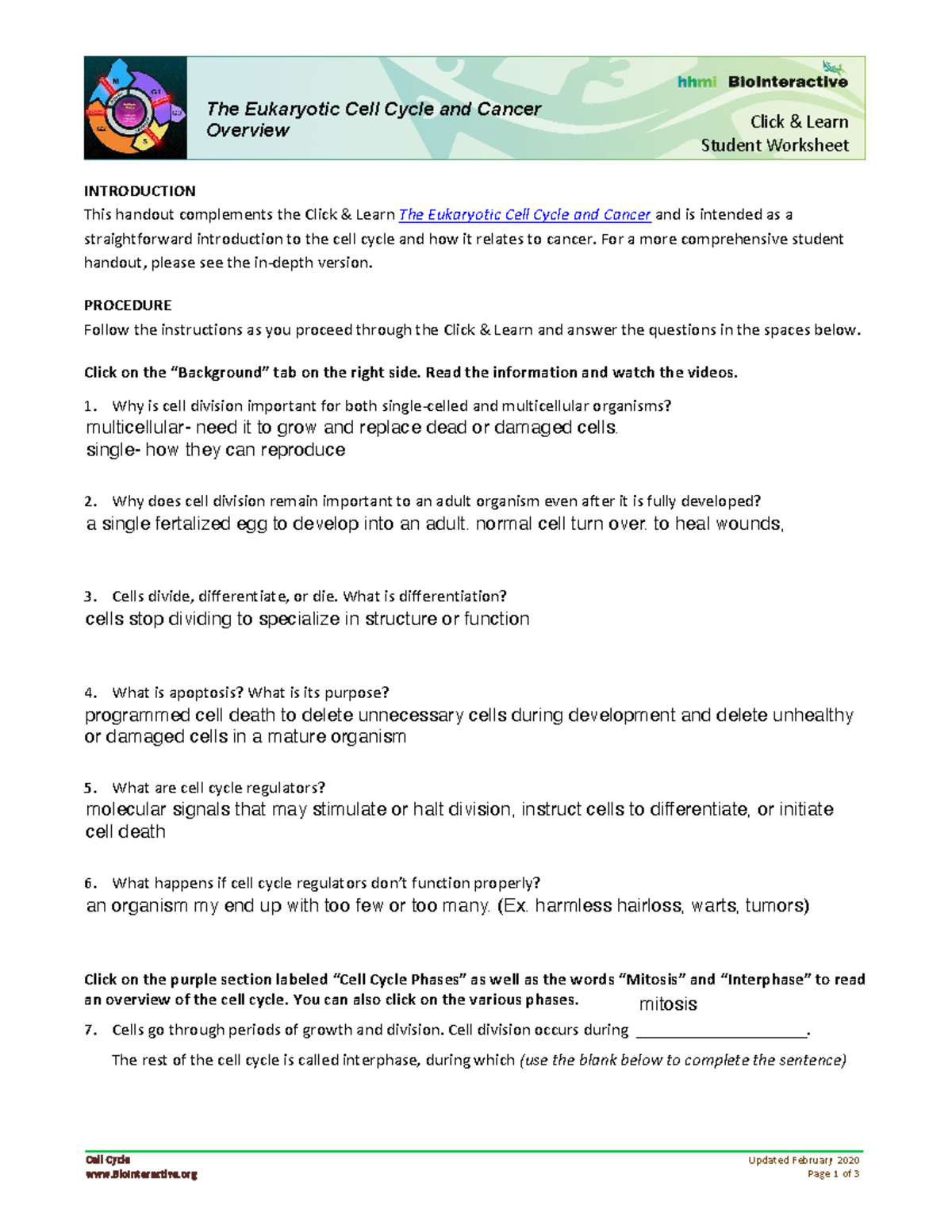 Cell Cycle OverviewStudent WSCL BIO 1330 TXST Studocu