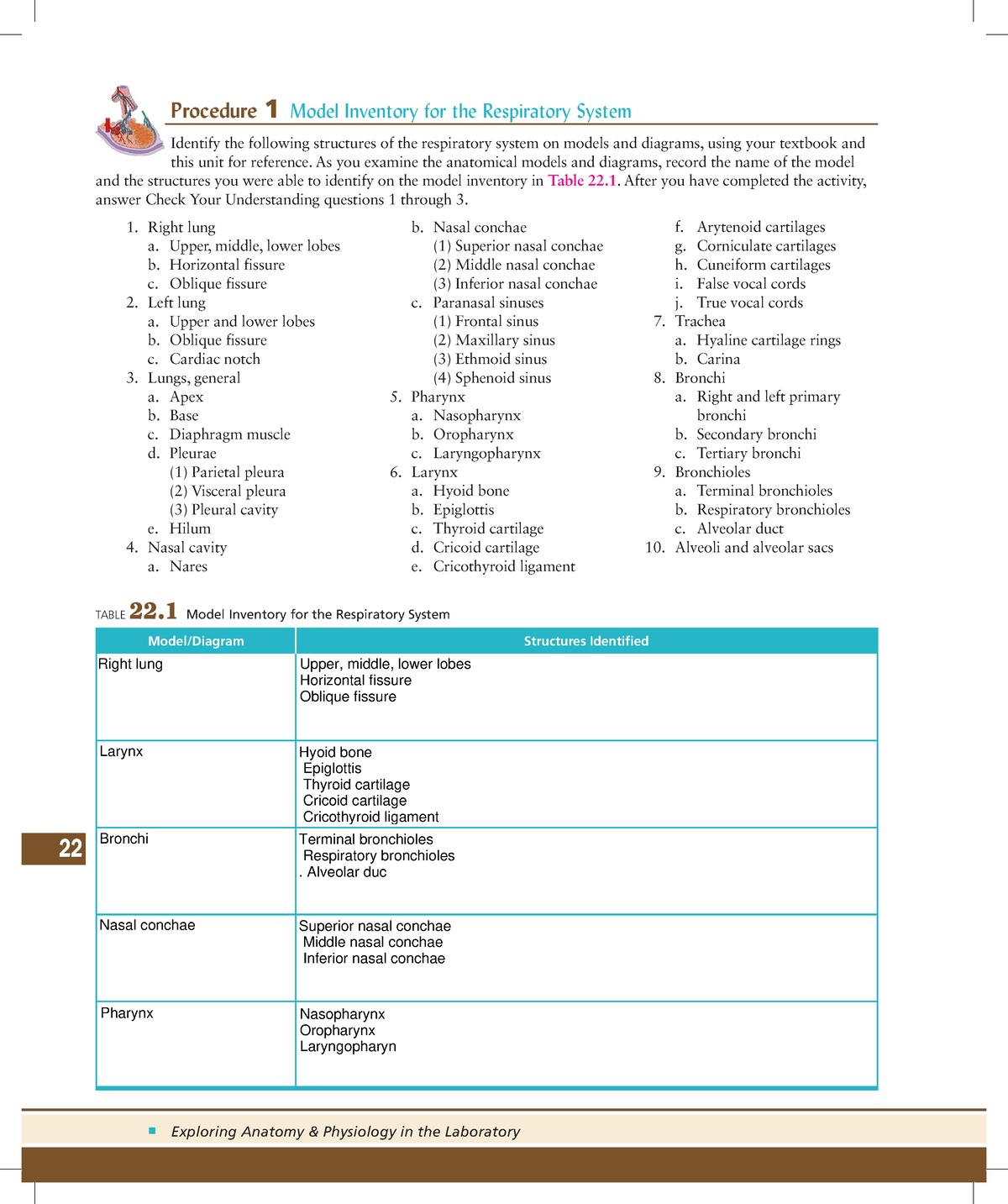 Unit 22 Exercise 22-1 Procedure 1 Kj - N Exploring Anatomy & Physiology ...