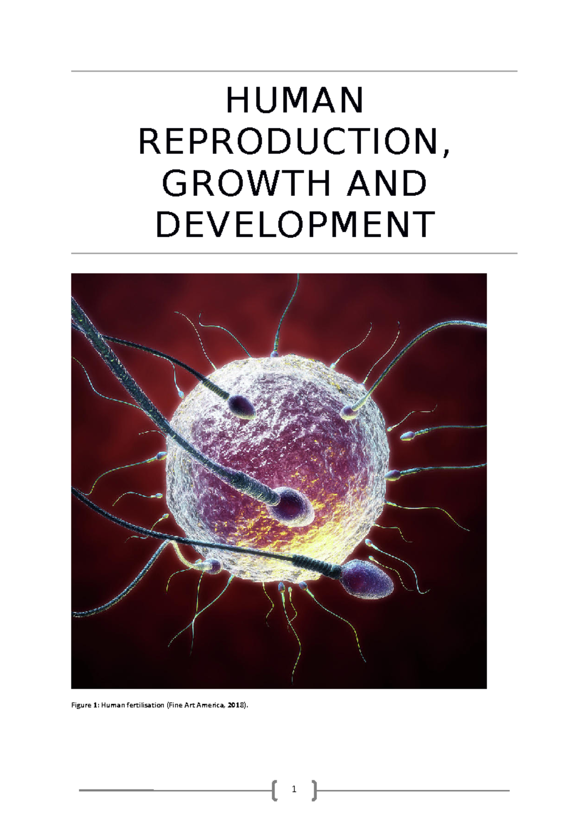 Human reproduction - Distinction - HUMAN REPRODUCTION, GROWTH AND ...