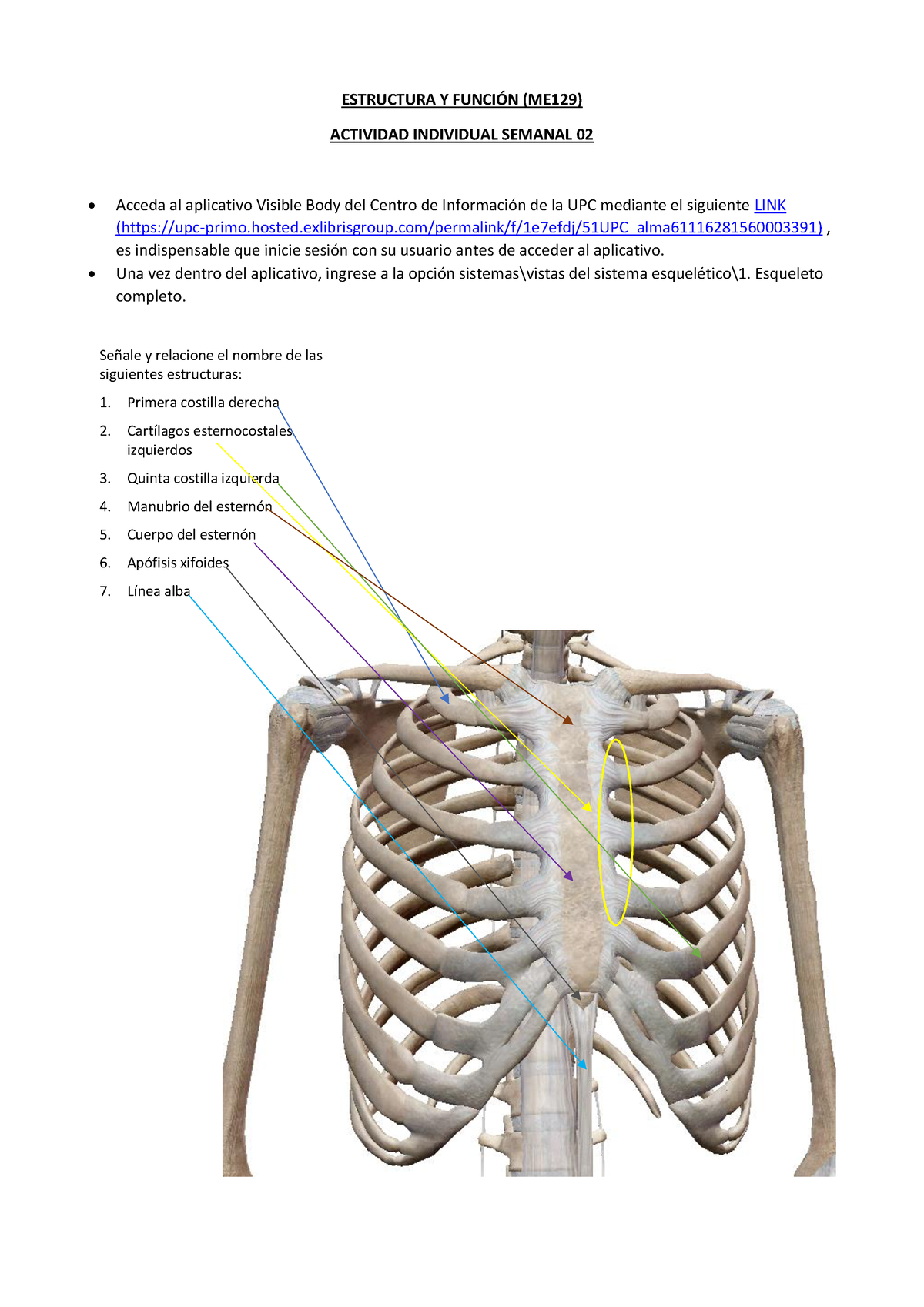 Ey F Sem 2 MM - Sem 2 - ESTRUCTURA Y FUNCI”N (ME129) ACTIVIDAD ...