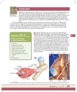 Unit 7: Introduction to the Skeletal System. Lab 7 - Exercise 7 ...