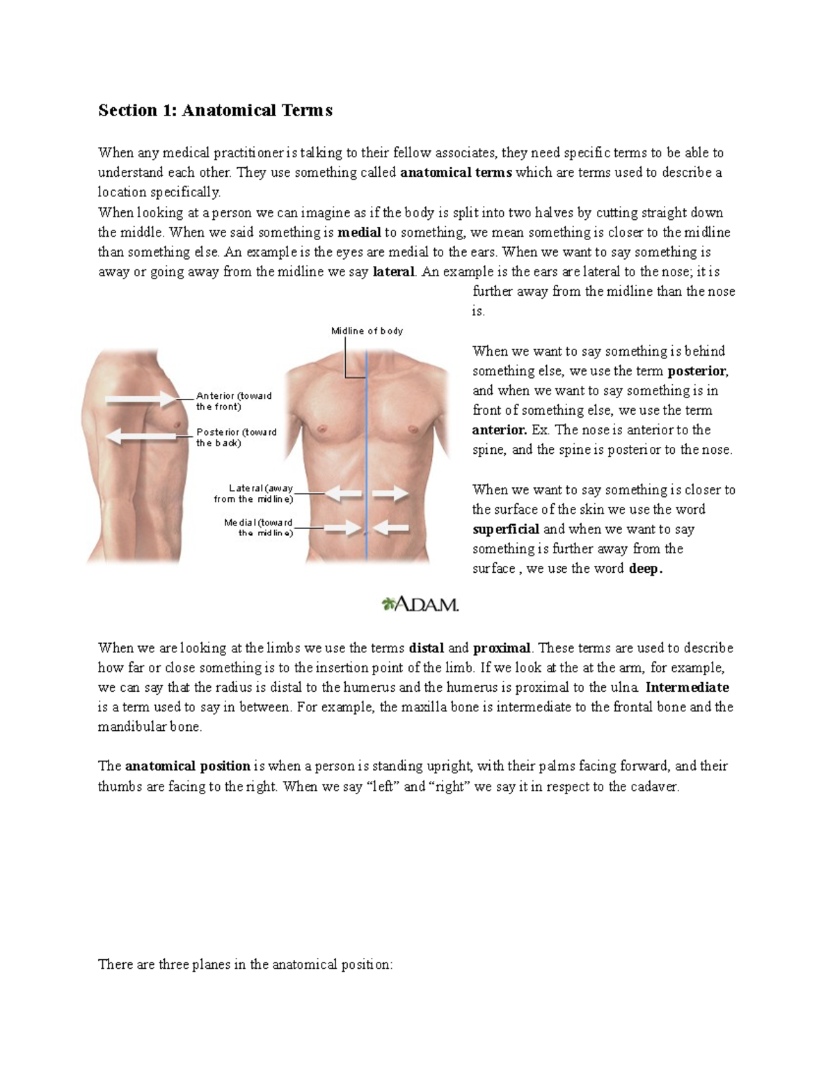 Anatomy assessment notes - Section 1: Anatomical Terms When any medical ...