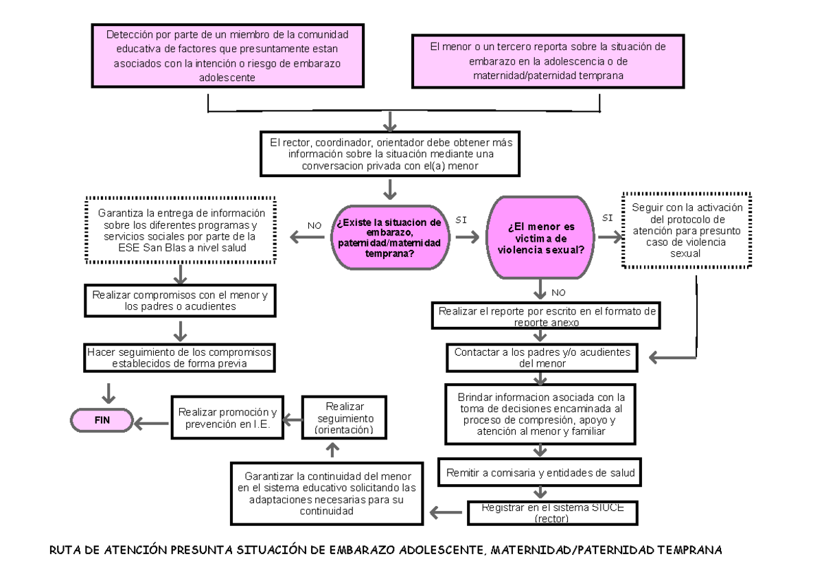 RUTA DE Atencion Embarazo - Detección Por Parte De Un Miembro De La ...