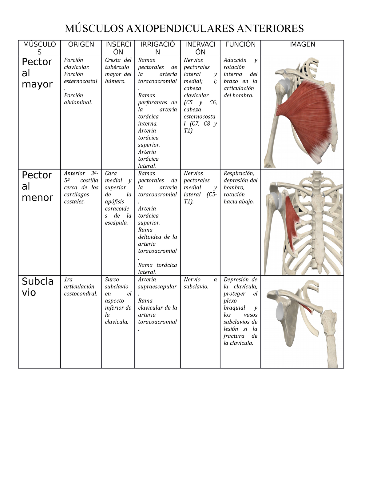 Tablas De Resumen Osteo Muscular/ @valearnedoc - MÚSCULOS ...