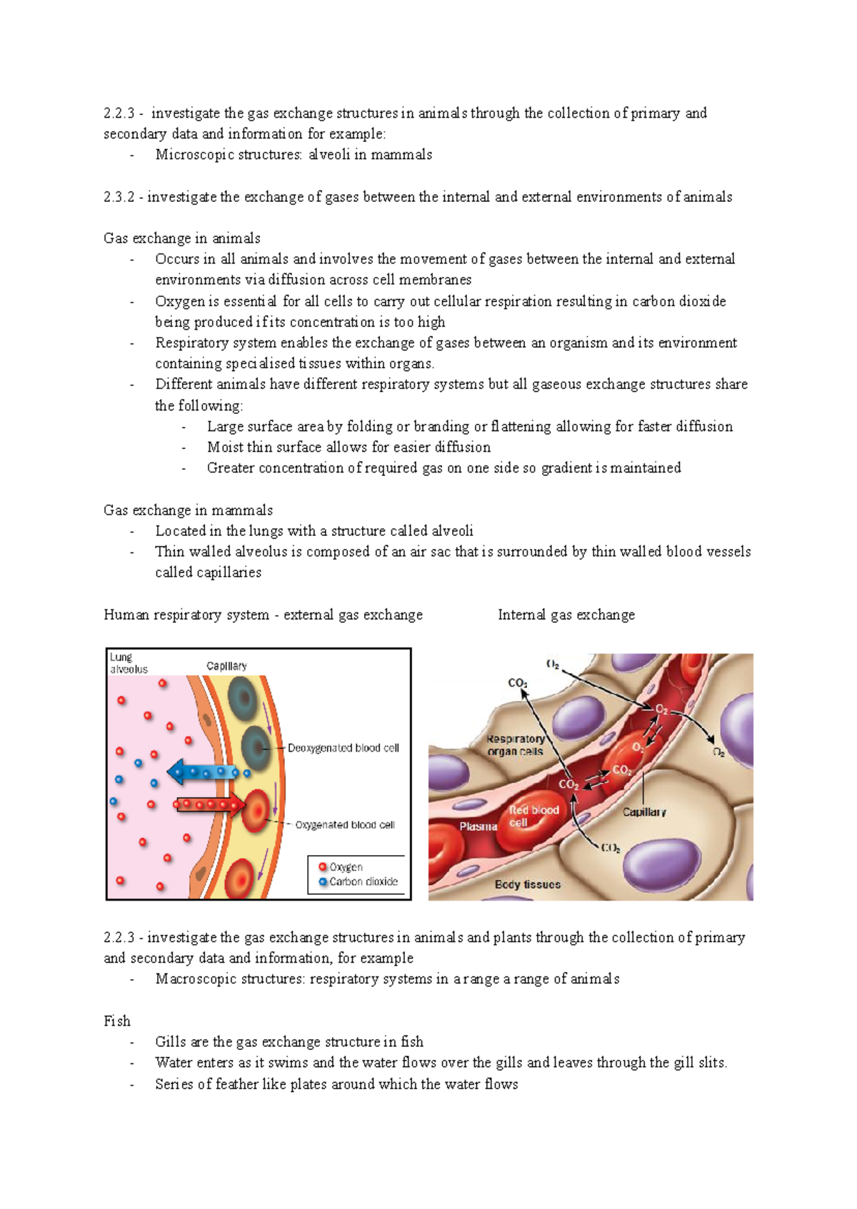 Biology pre-lim notes - 2.2 - investigate the gas exchange structures ...