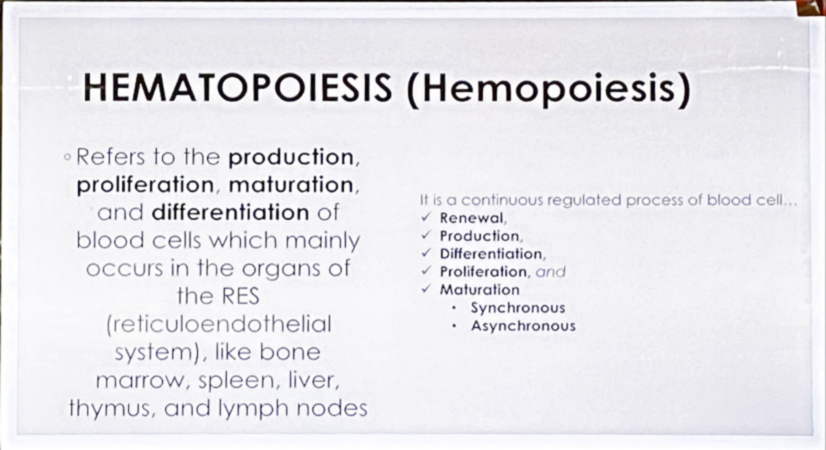 HEMA LECTURE PPT - HEMATOPOIESIS (Hemopoiesis) Refers to the production ...
