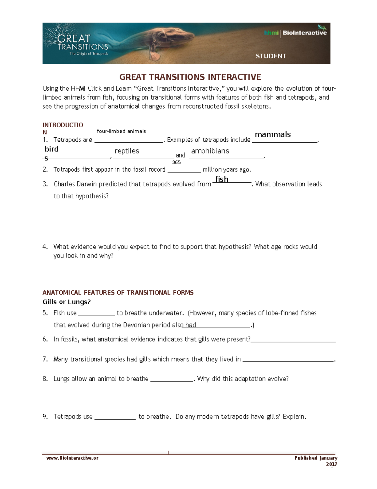 Great Trans Interactive Fillable Worksheet - STUDENT WORKSHEET ...