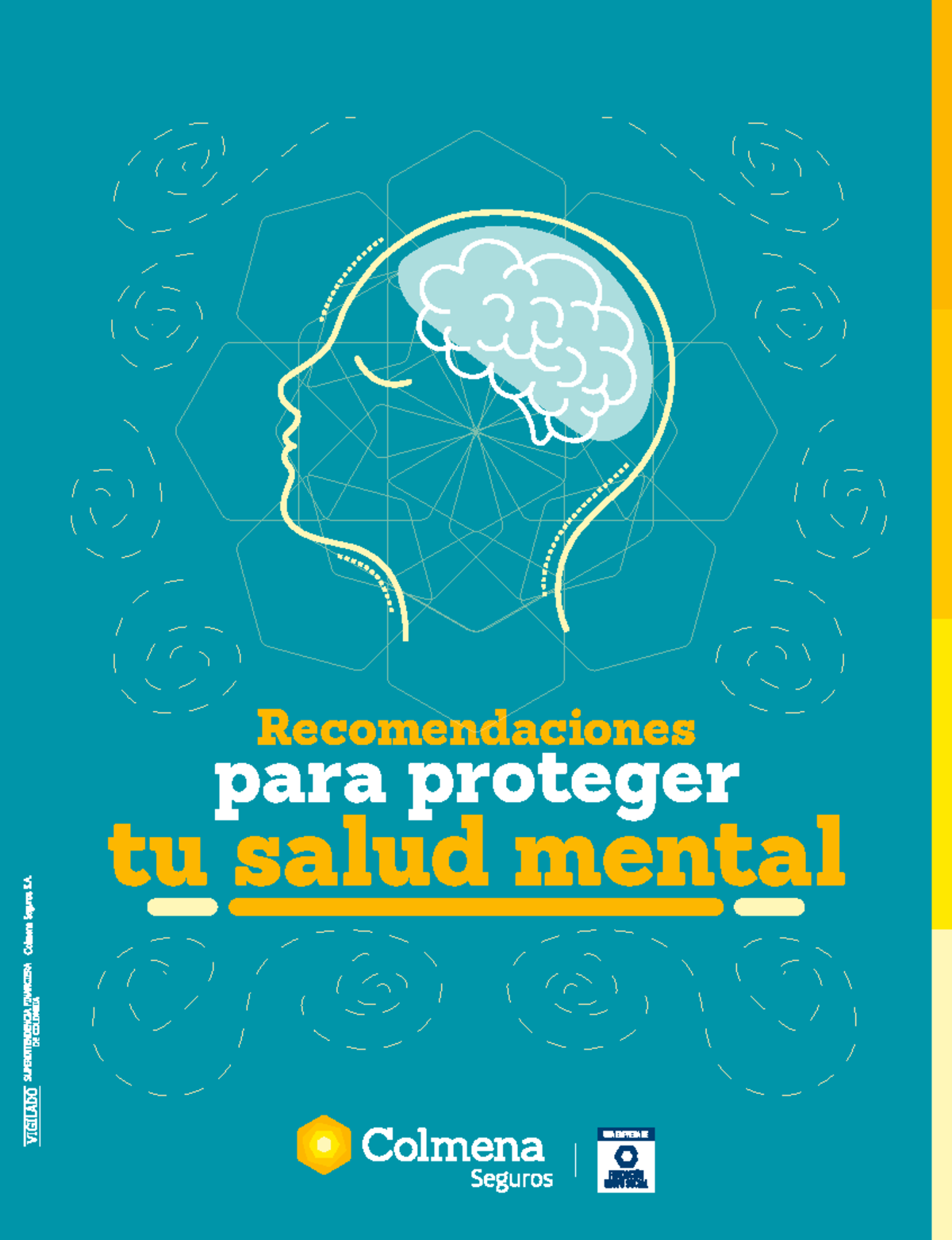 Cartilla Recomendaciones Para Proteger Tu Salud Mental ...