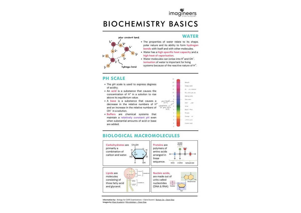 learning-about-microbiology-bsc-242-studocu