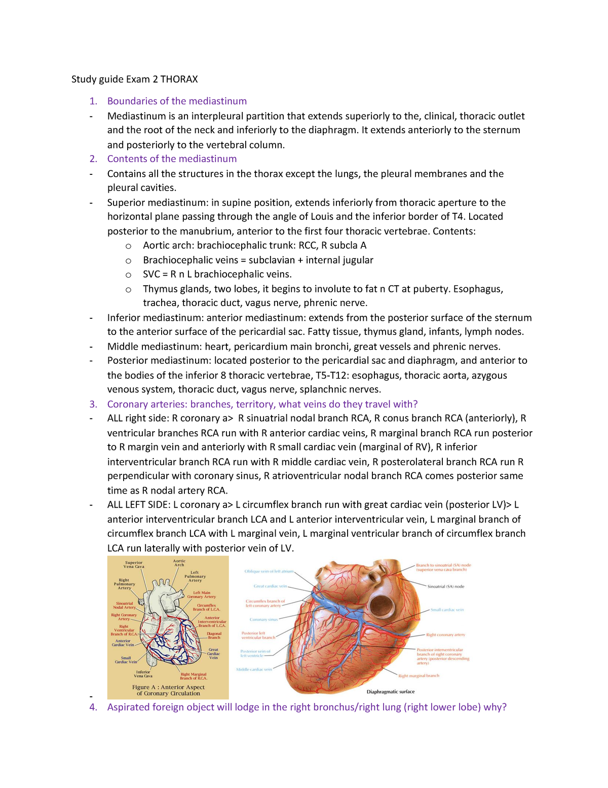 Anatomy Study Guide Exam 2 - Thorax - Study guide Exam 2 THORAX ...