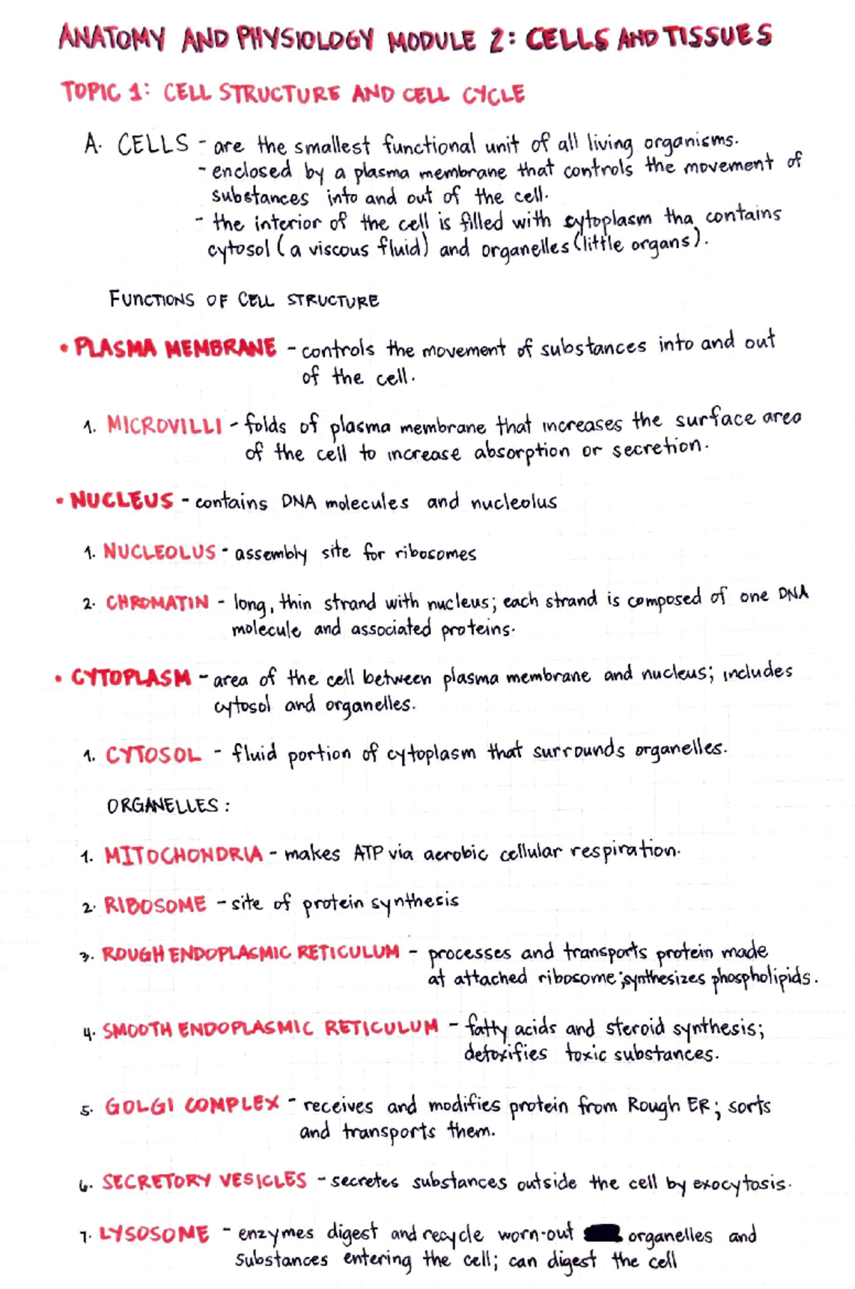 Anatomy And Physiology Module 2 - Material Science And Engineering ...