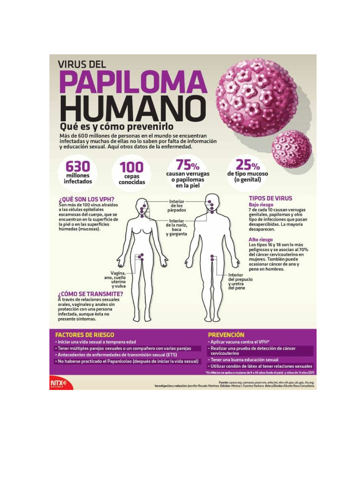 Vph Virus Del Papiloma Humano Studocu