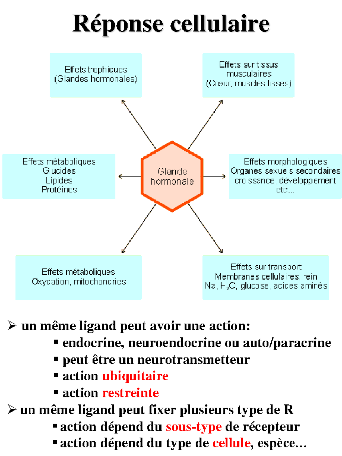 CM2 Comm Cell - cour de communication celulaire Arthure Brouillet ...