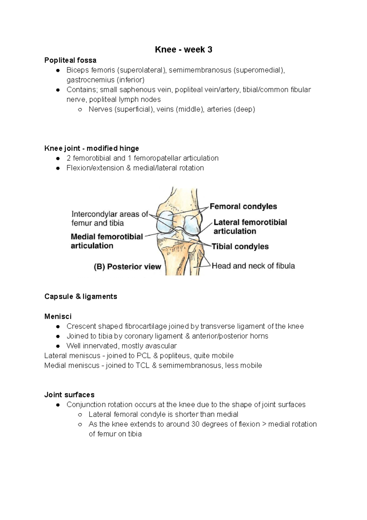 Knee - week 3 - Lecture Notes - Knee - week 3 Popliteal fossa Biceps ...