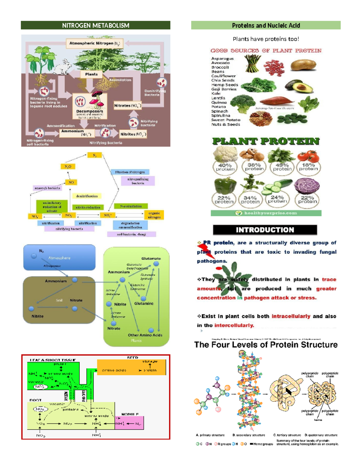 Plant physio mod 4 - This file will help you build your foundation in ...