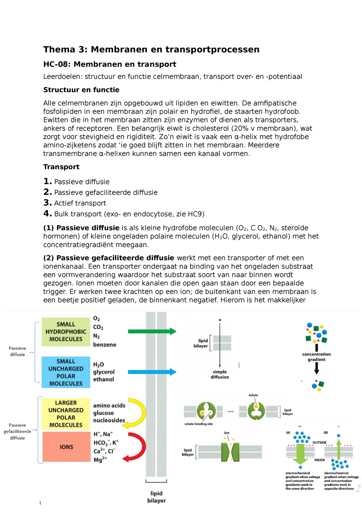 Blok Cel Tot Molecuul Thema 3 Samenvatting Thema 3 Membranen En