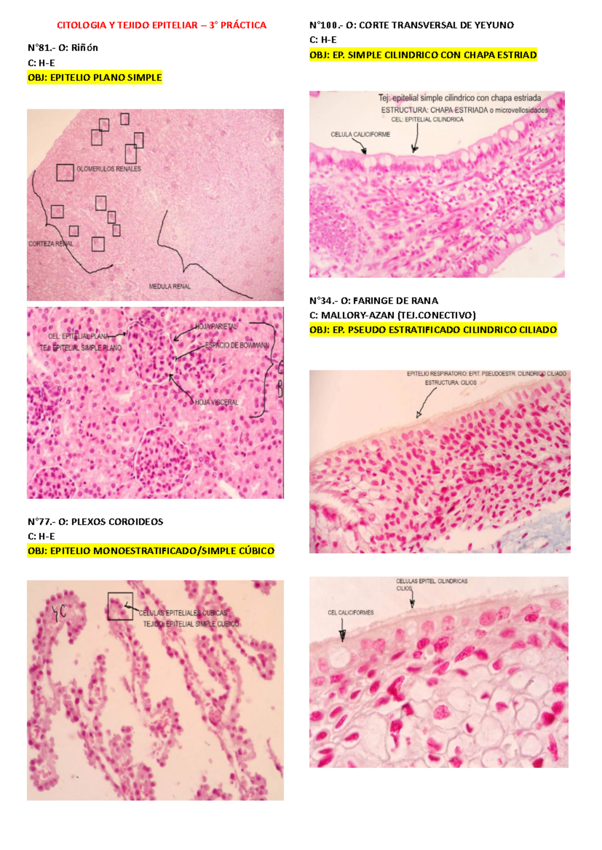 Resumen Histología 1ERA Unidad - CITOLOGIA Y TEJIDO EPITELIAR – 3 ...