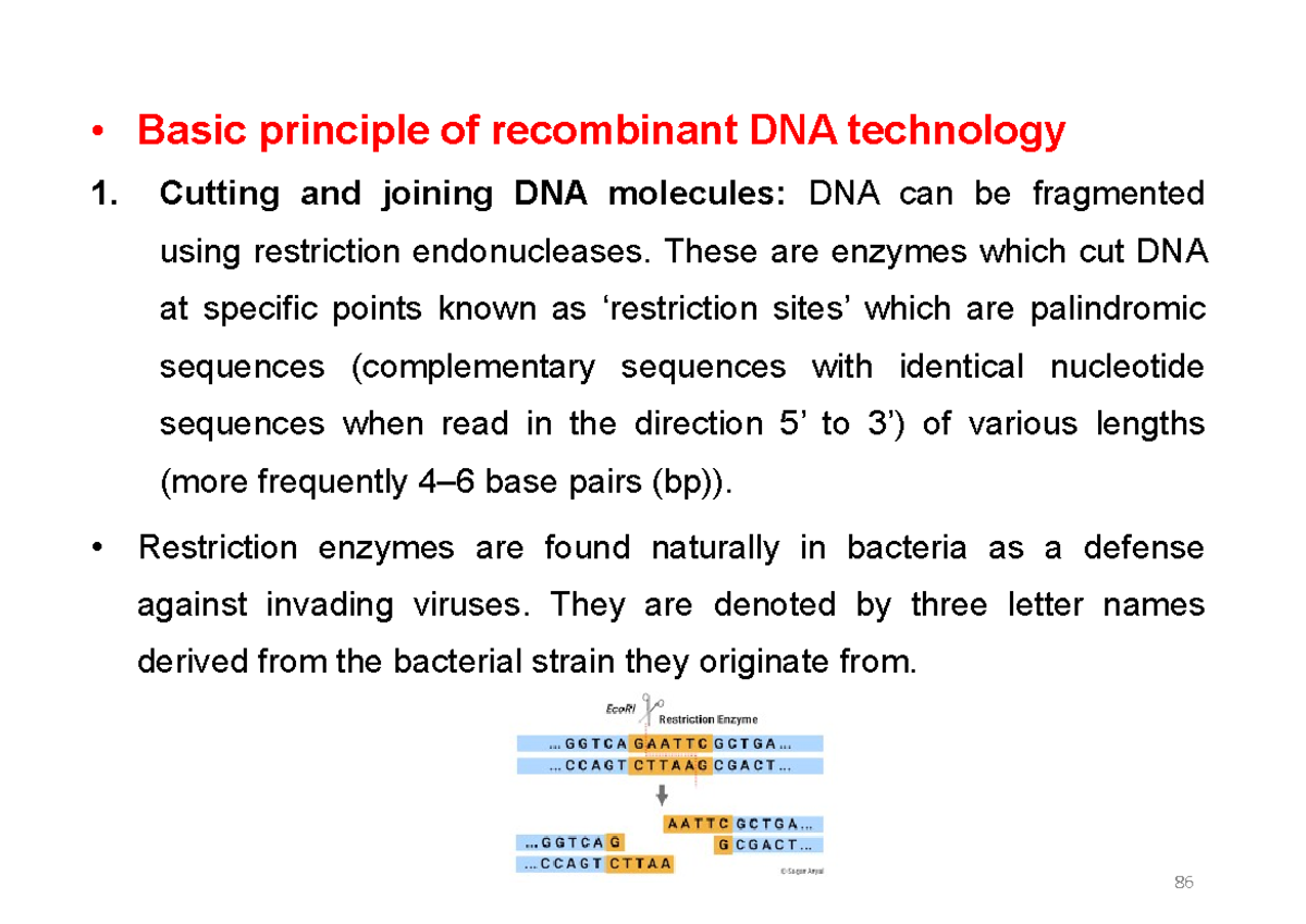 Biotechnology Lec 8 Antibody Basic Principle Of Recombinant Dna