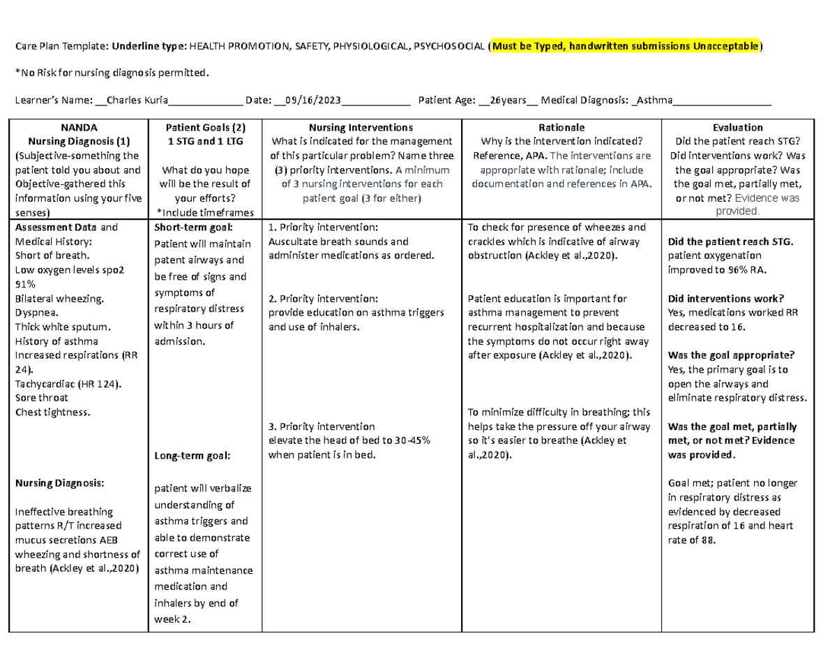 Care Plan final care plan copies Care Plan Template Underline type