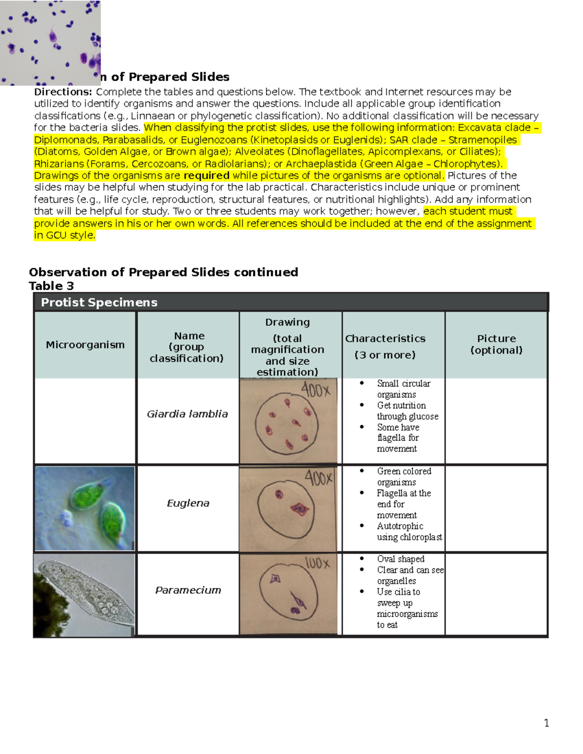BIO182 L Wksht 1 BIO 182 LAB Observation of Prepared Slides