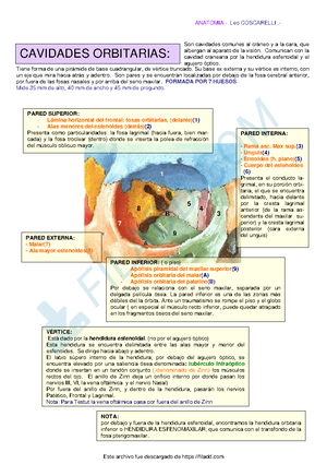 Clase 4. Principios de Oclusión - Unidad 1 OCLUSIÓN: Principios de la ...