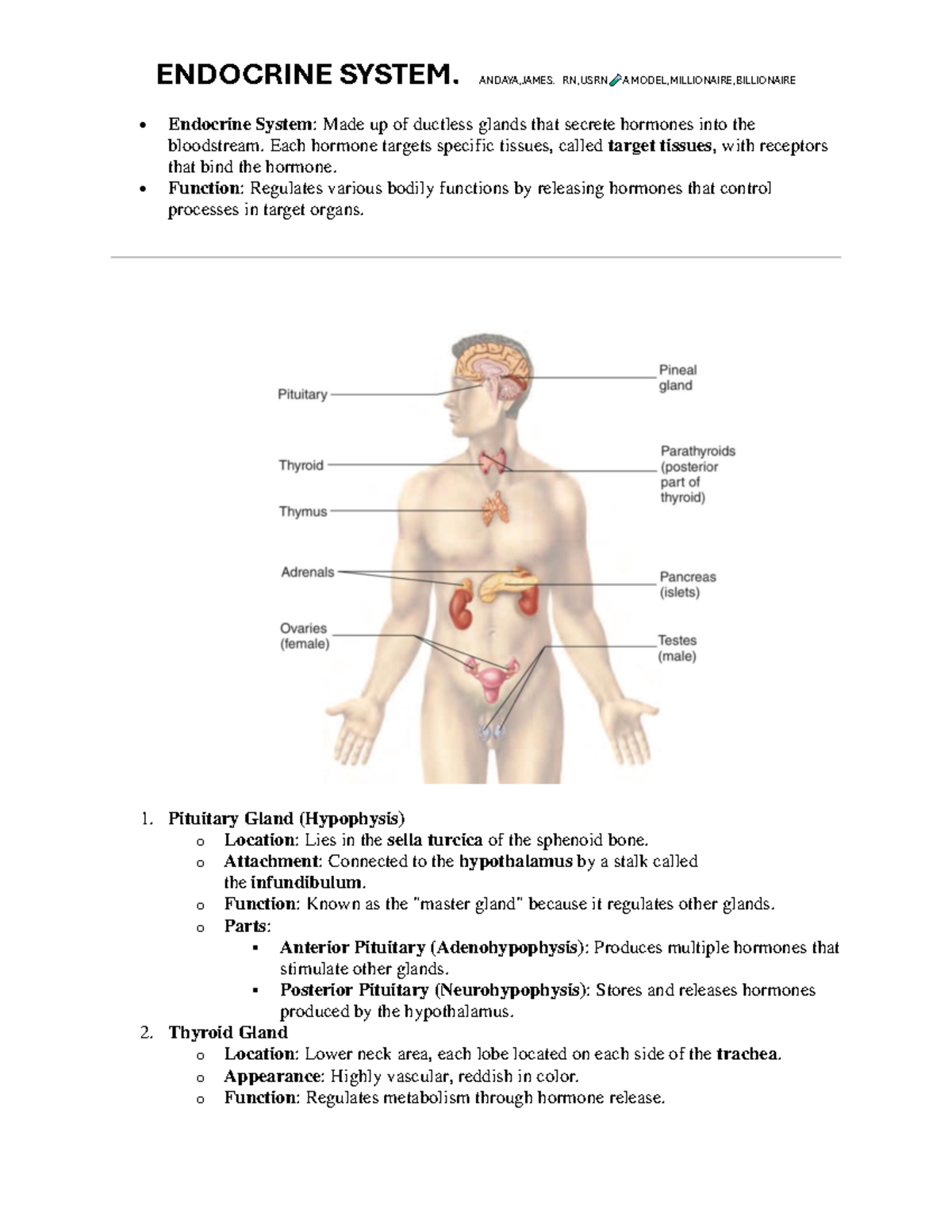Endocrine Review 2 - Anapi - ENDOCRINE SYSTEM. ANDAYA,JAMES. RN,USRN A ...