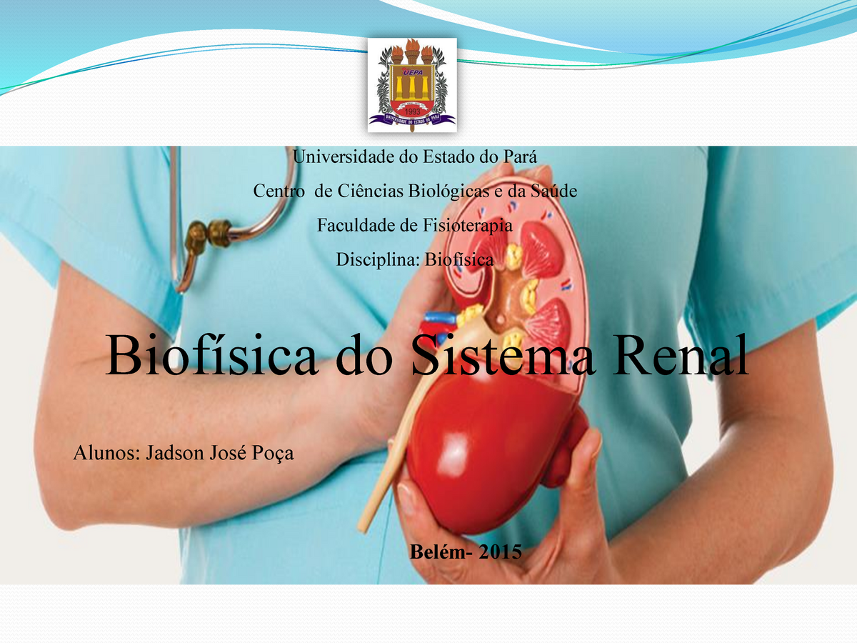 Biofísica Do Sistema Renal Universidade Do Estado Do Pará Centro De Ciências Biológicas E Da 1424