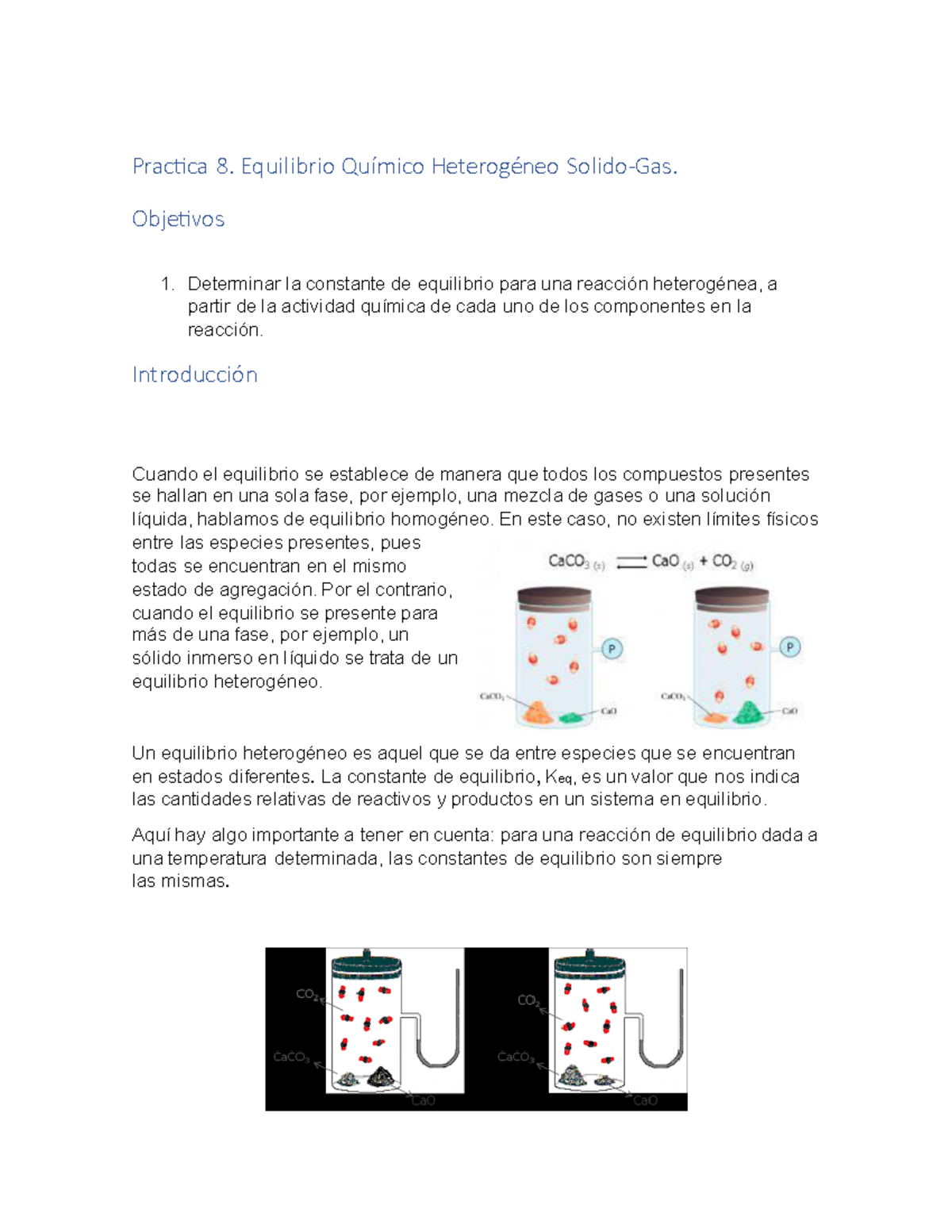 Practica 8. Equilibrio Químico Heterogéneo SolidoGas Practica 8