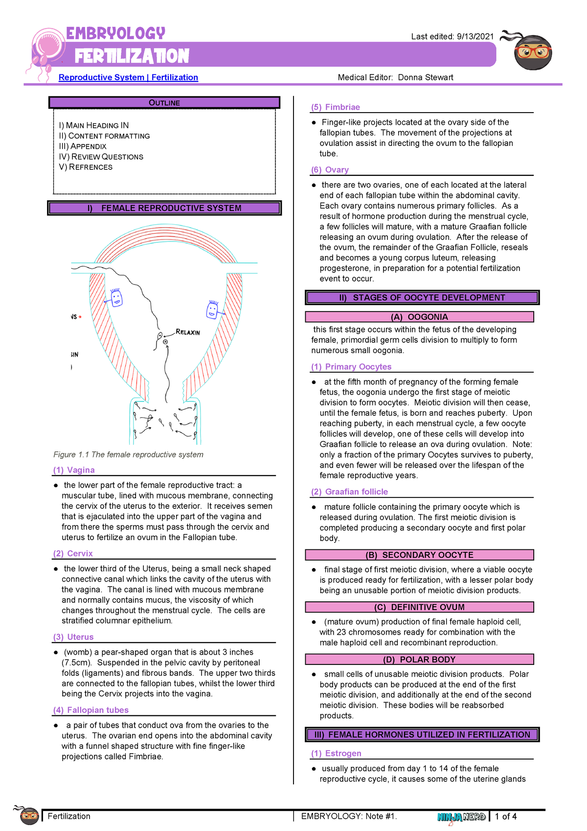 259 Embryology Physiology Reproductive System Fertilization ...